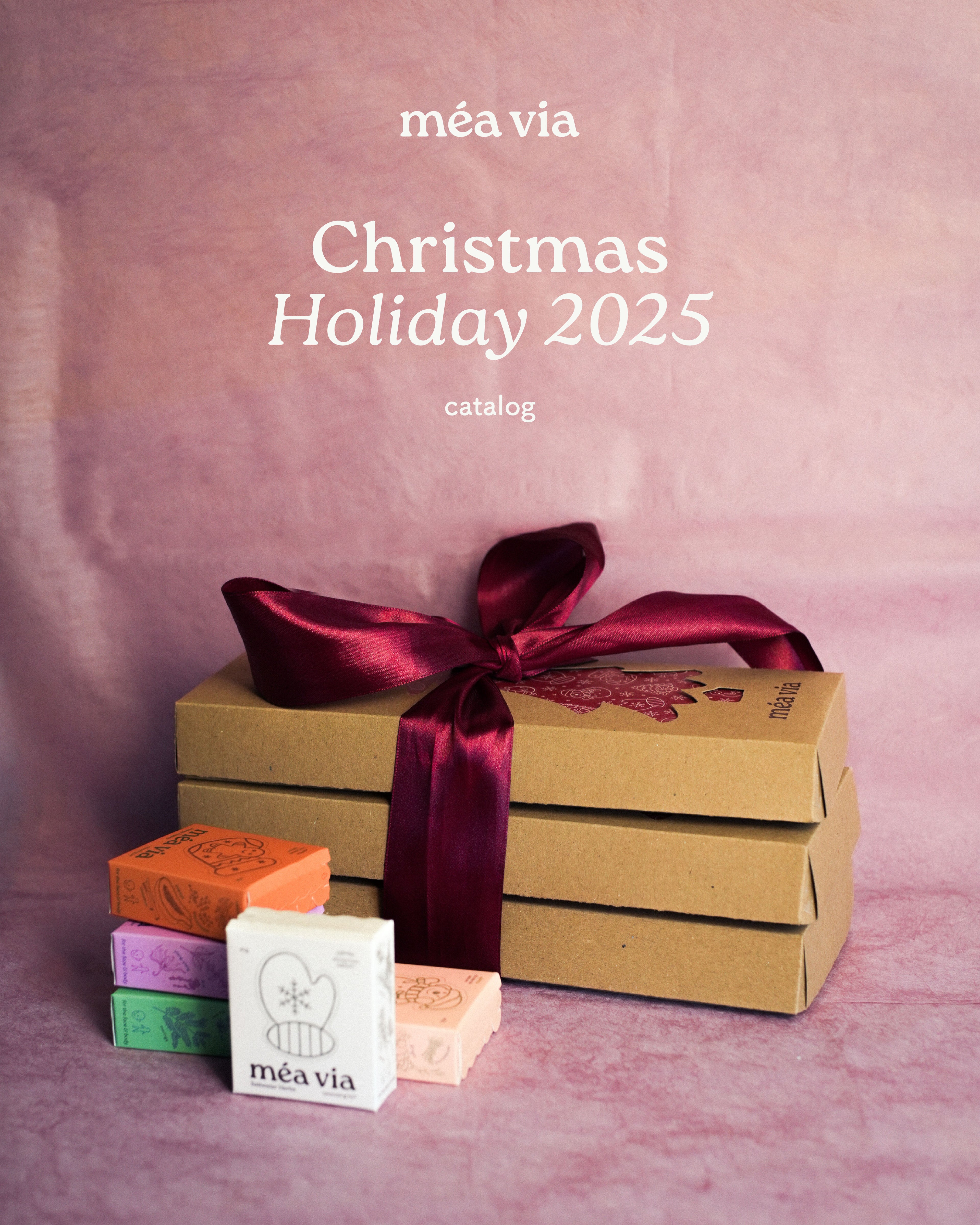 Christmas 2025 Edition Cleansing Bars