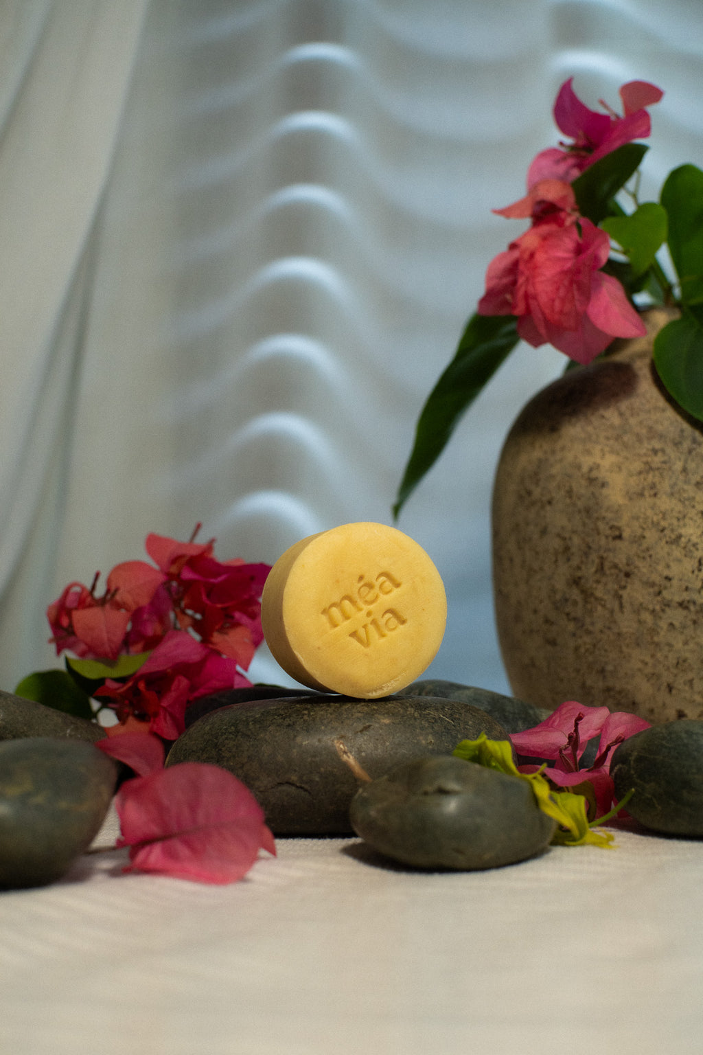 Aloe Ginseng Shampoo Bar