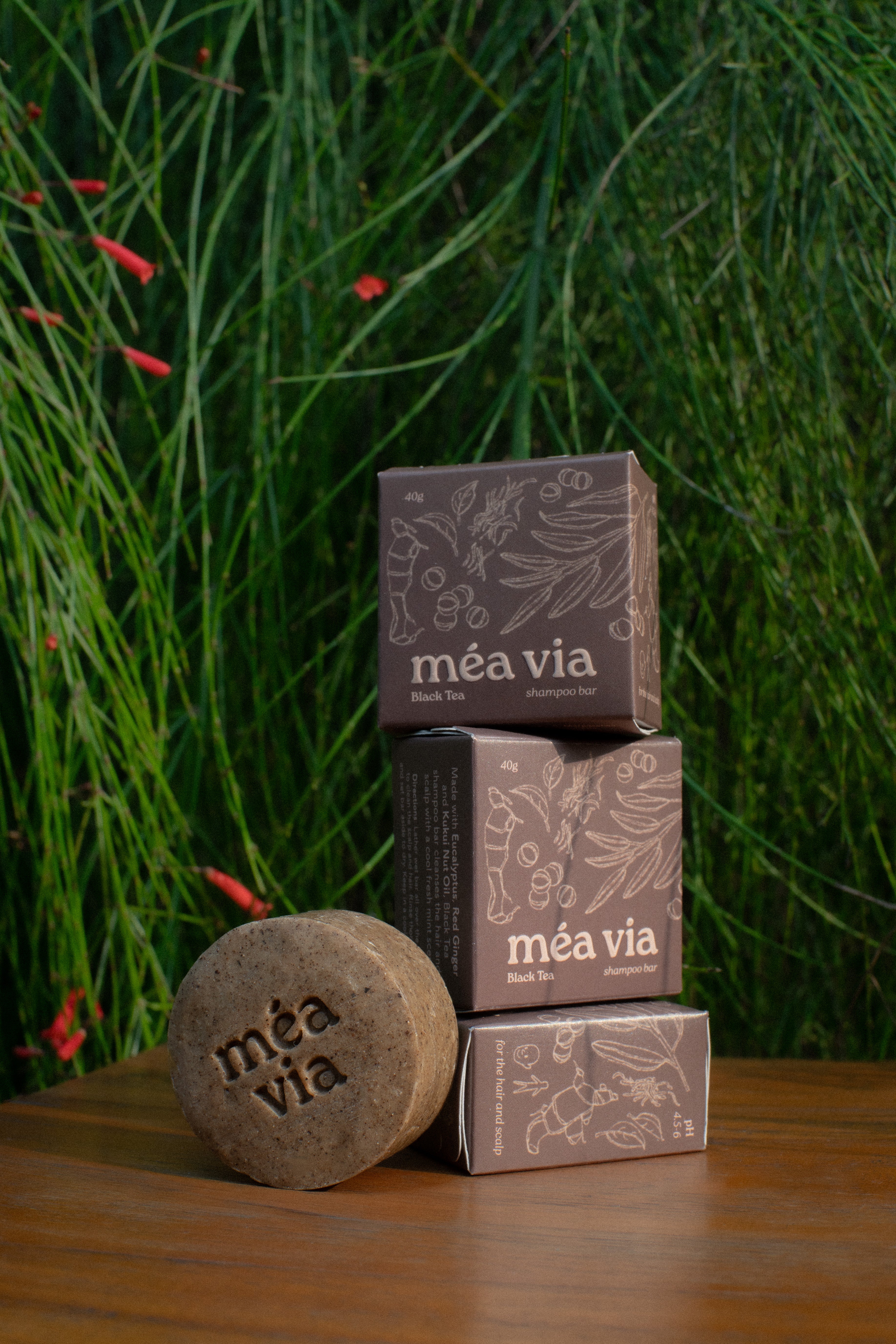 Black Tea Shampoo Bar